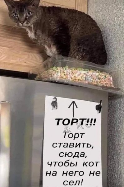 Переиграл )