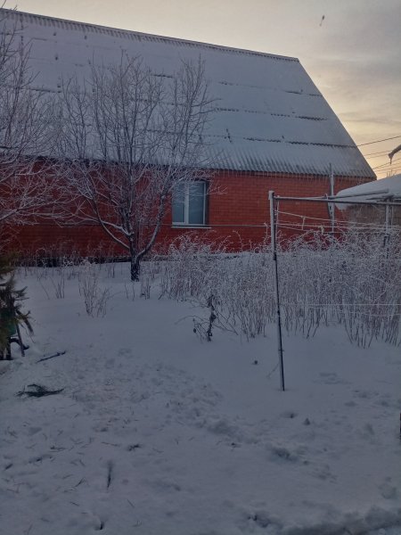 Зимняя сказка