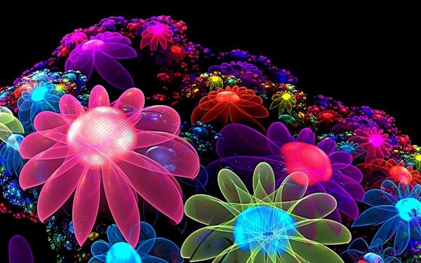 Fractal-flowers-color-flower