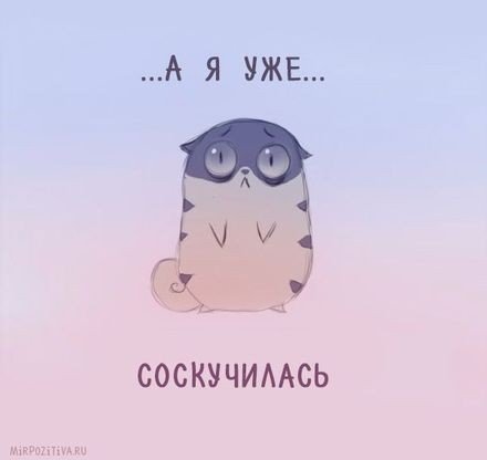 40d3f3c189a473a09919c91aae67e5f8