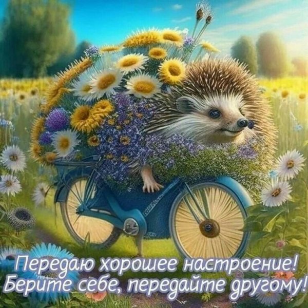 C19dfe1f94aa78e7a9e811400a4d74dd