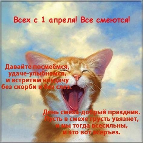 B19f4b5ce1e6e7d31e67237f0101029c