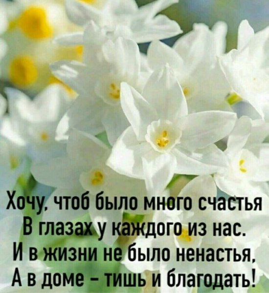 dfc898390e03e3b56a39a0a76d78f