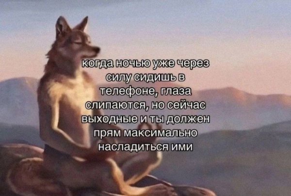 I-smeshnyh-kommentariev-dlja-podnjatija-nastroenija-7