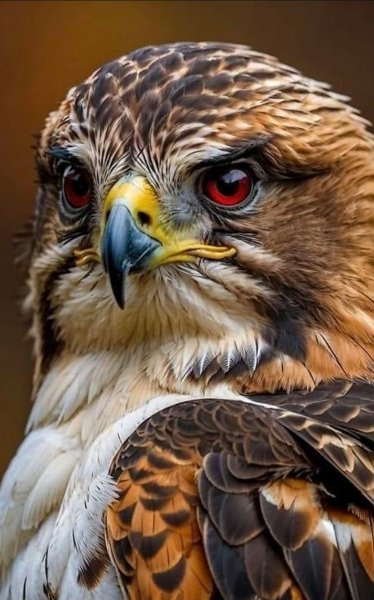 Животный Мир