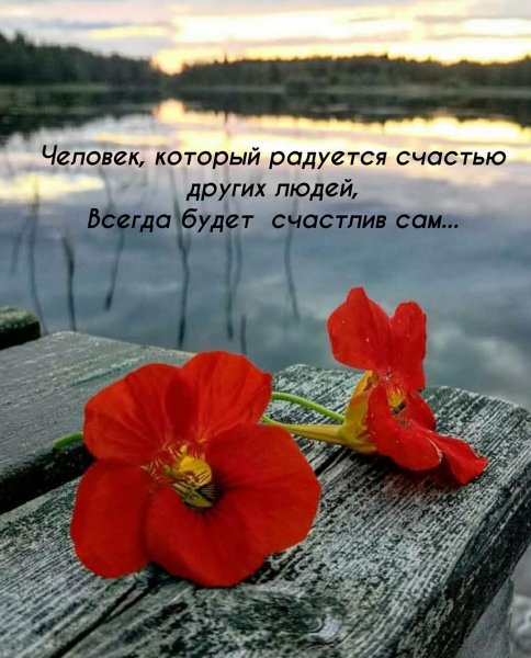 marinaalekminskaya 20200730 18