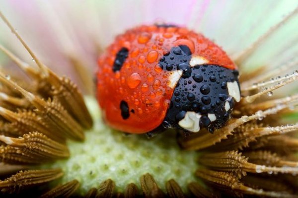 89b0210f1892ddfb499cd048100fb742