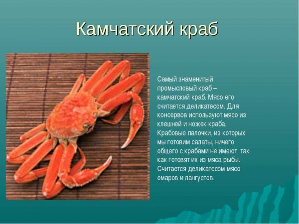 Камчатский краб