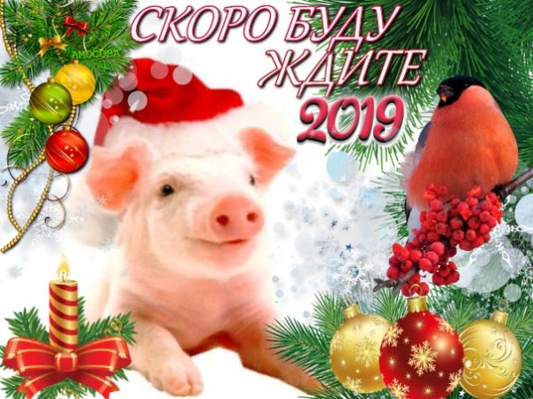 2Cj1hfX5SjI-nashobmen.org