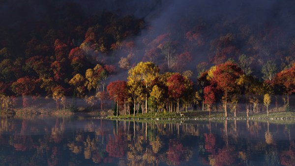 Природа (1920x1080)