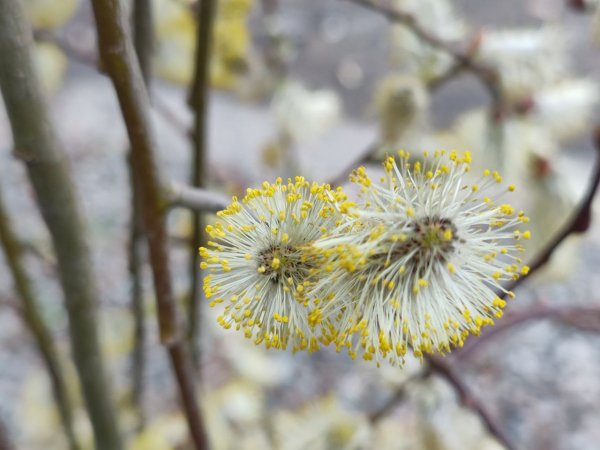 Фото 374
