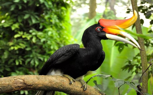 6dn1ZQptq6l6xTCJA44vwDzPpd 37H8lS9mP5NTgFOSoOON3xFZ6n5BczrBa