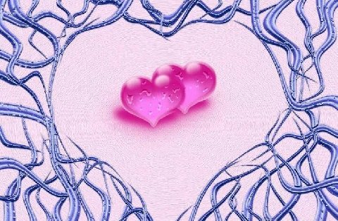 IMG-7180b047eb367cd53004da48806f5d23-V