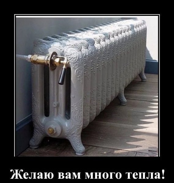 В холодную зиму