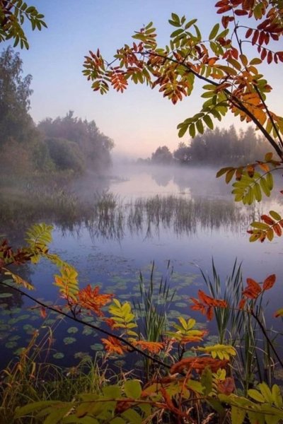 Cc7190756d47429ec43b0829236f771a