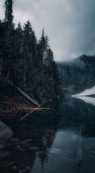 Арт Природа