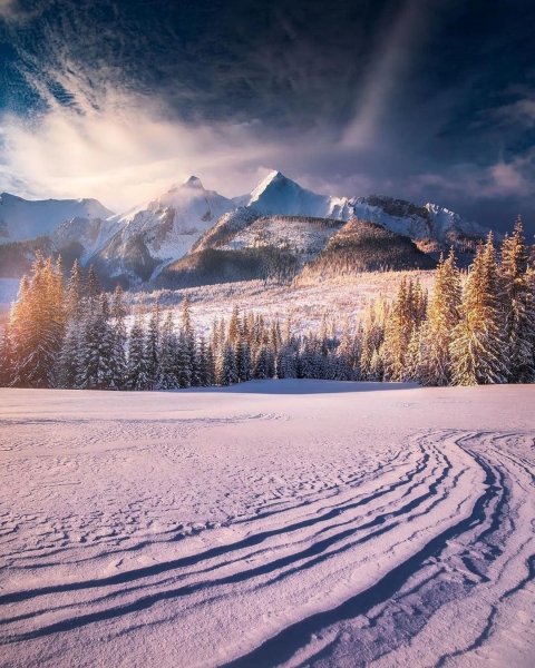 MJEe77dTTEcPgFwkfELQe8TKEj1iZjD4ZDYwkWx5fAXc0nCO1FXphu4u0L5