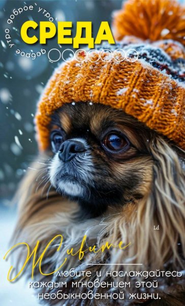 Доброе утро!