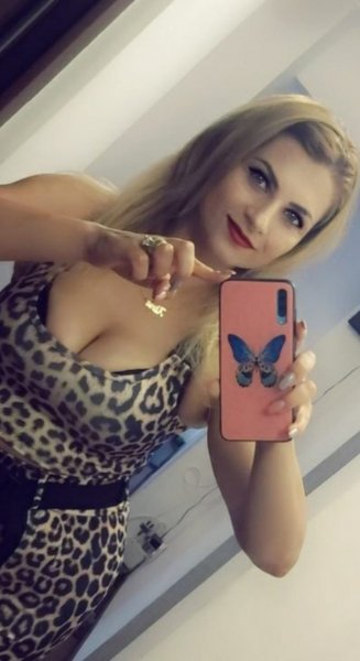 dina 19