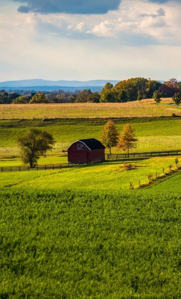 Screenshot 20260401-121432 One UI Home