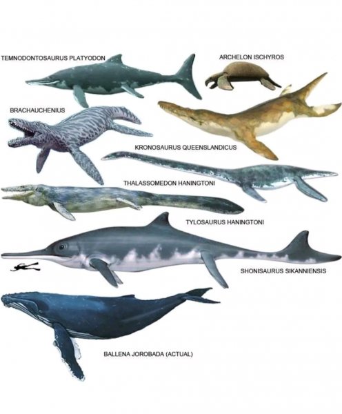 Хишники Мезозоя