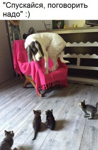 Kogda-tekst-i-kartinki-govorjat-sami-za-sebja-40