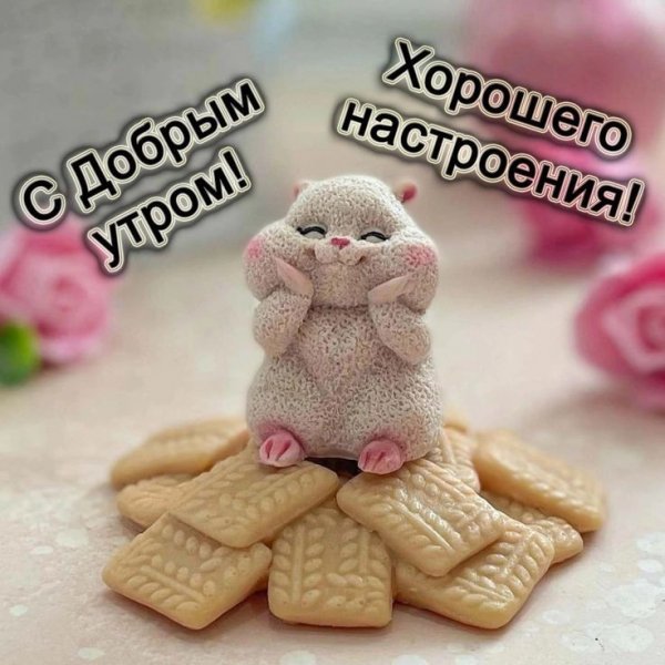d269ed2e562acde54bbb9424e