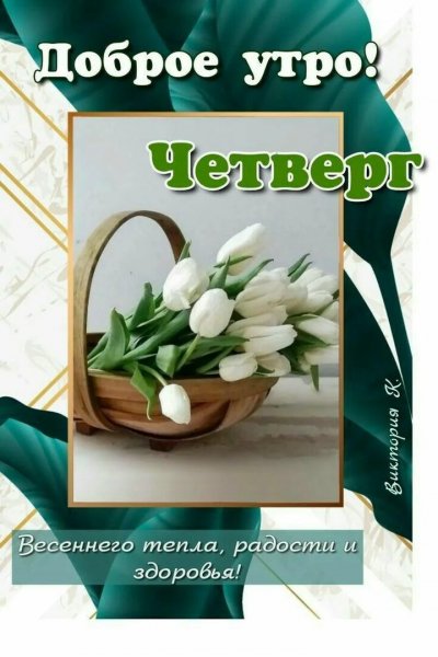 Друзья мои!