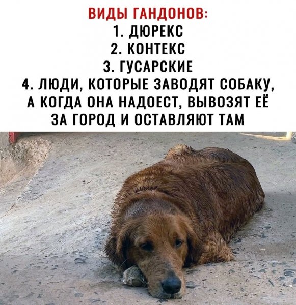 Факт!