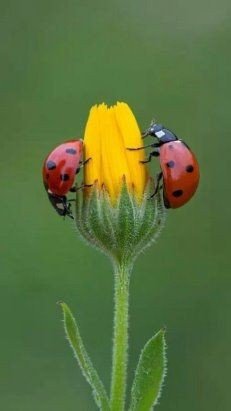 E31ae467634aaf8f7ea5c5db84ff8c64