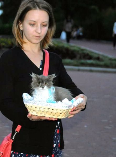 FB IMG 15052420816025262