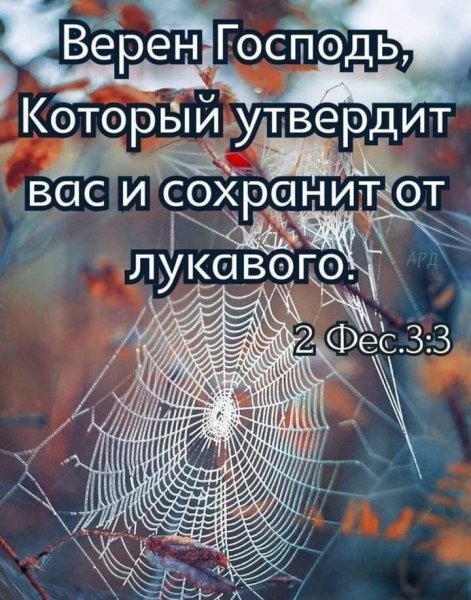 picture_400096962