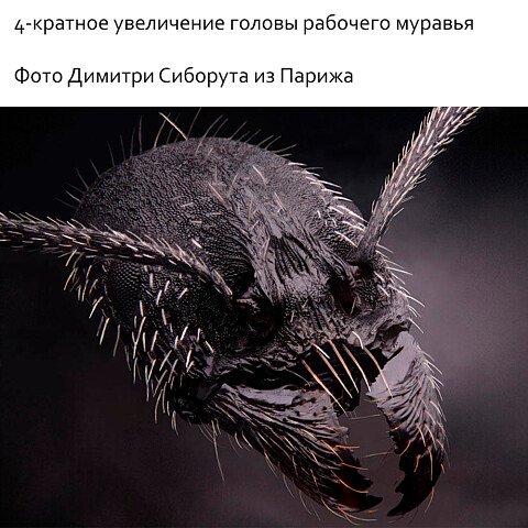 i (1) 184071054746912