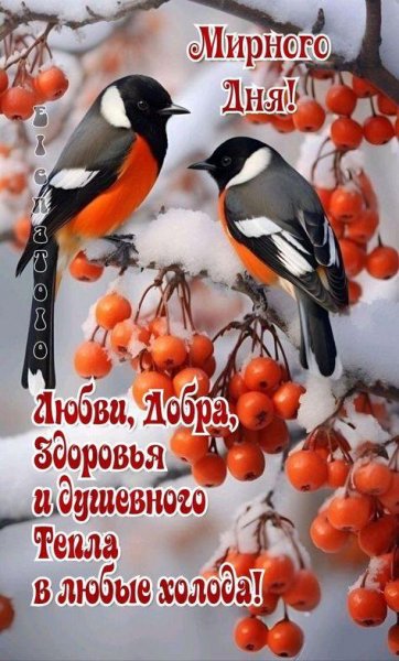 Зимняя открытка