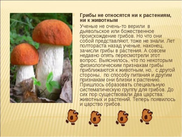Грибы