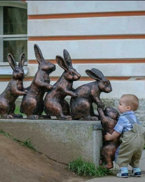 D6264fdfd5265cf27580dd535ba0060b