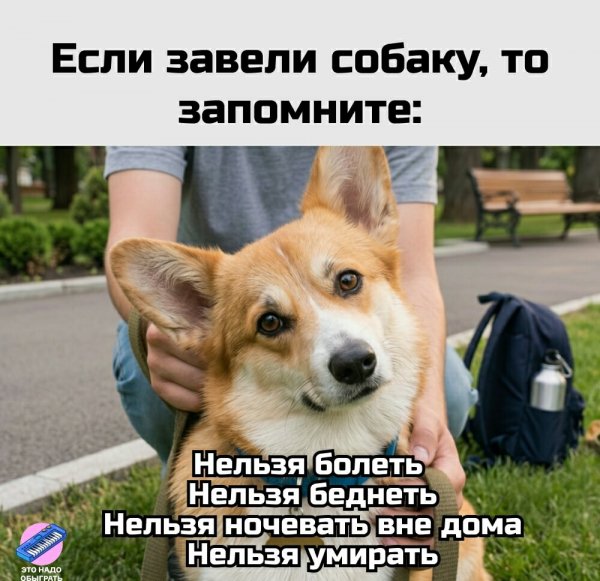 Гимн жизни )