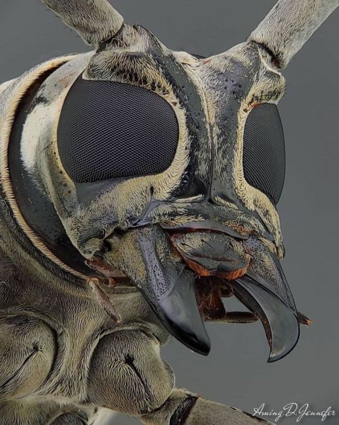 2fa400bd6e6cbd035191215c4c712865