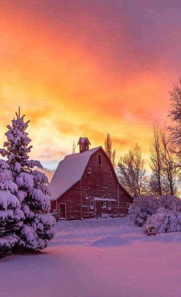 FB IMG 1614392675641