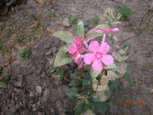 P9010001