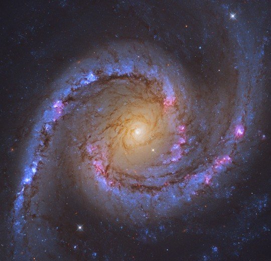 NGC 1566, испанская танцовщица