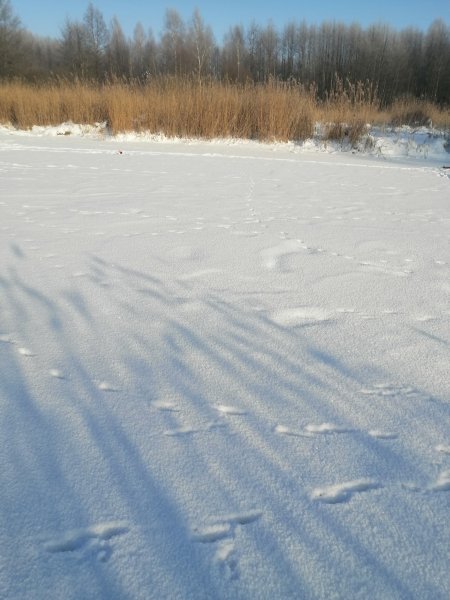Рыбалка