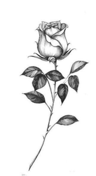 FB IMG 1642097545653
