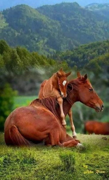 10-08-51-218830787 3081010275461674 8012336534346303200 n