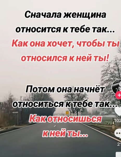 picture_379637565
