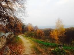images (26)