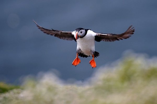 I - 2025-08-23T020454.420