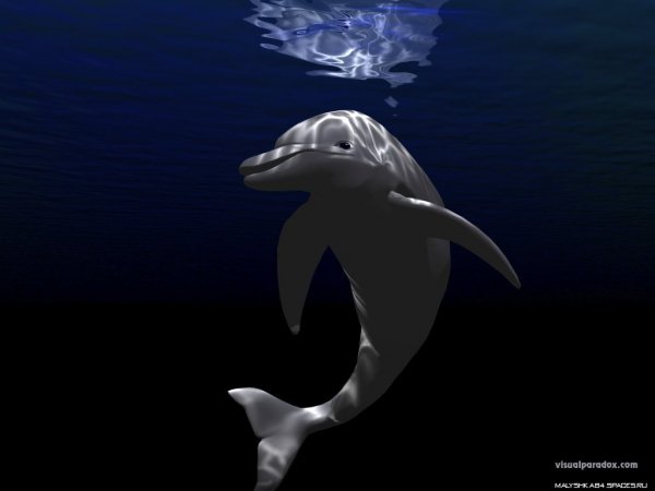 Дильфиньчик