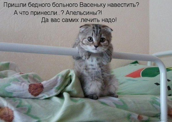 IMG 20150607 101015 3