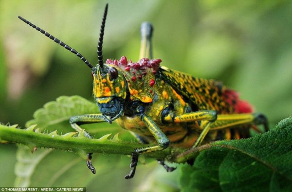 4ce31afb40b8db1c68b64bb44d2f9a11